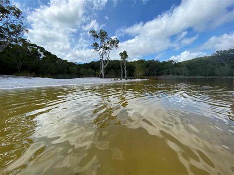 Poona Lake is a hidden wonder in Rainbow Beach, Queensland - Camps ...