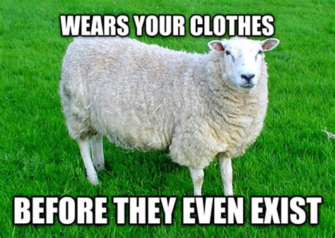 Hipster Sheep - Memebase - Funny Memes