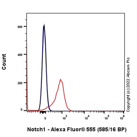 Alexa Fluor 555 Alexa Fluor 555 Anti Notch1 Antibody EP1238Y