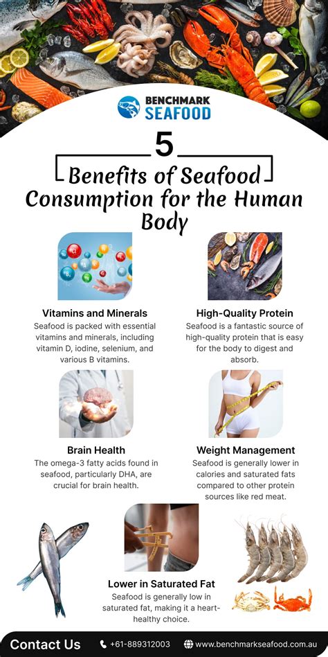 5 Benefits Of Seafood Consumption For The Human Body Telegraph