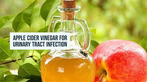 How To Use Apple Cider Vinegar For Urinary Tract Infection