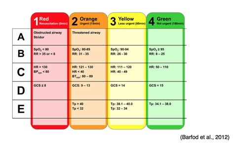 Emergency Triage Levels