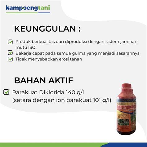 Actara 25 WG 100 Gram Insektisida Sistemik Dan Kontak Obat Pembasmi