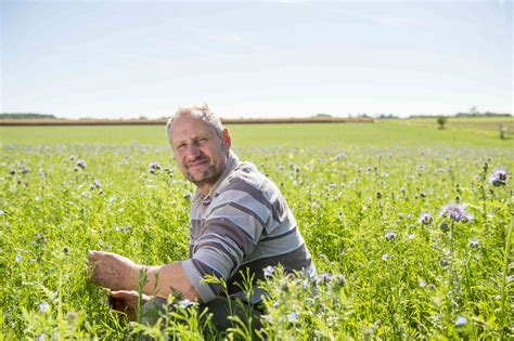 Dans la Beauce les agriculteurs tentent de se désintoxiquer du glyphosate