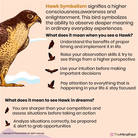 Hawk Symbolism | Hawk Meaning | Hawk Spirit Animal | Hawk Spiritual Meaning