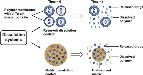 Schematic Of Dissolution Controlled Release Systems Drugs Are Loaded