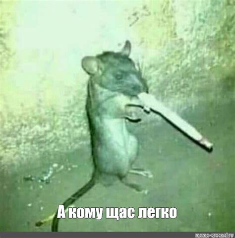 Meme: "А кому щас легко" - All Templates - Meme-arsenal.com