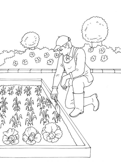 Tuinieren Kleurplaten Potager Jardinage Animaatjes Coloriages