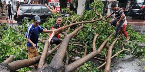 Hujan Disertai Angin Kencang Tumbangkan Pohon Di Jakbar Merdeka