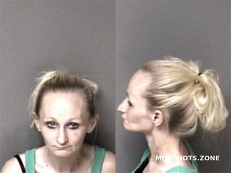 Hayes Sandra Gaston County Mugshots Zone