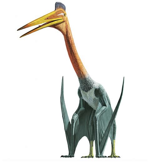 Quetzalcoatlus Dinopedia Fandom