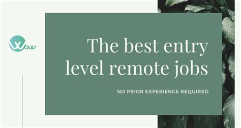 8 Best Entry Level Remote Jobs You Can Get With No Experience