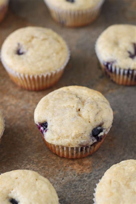 Perfect Blueberry Muffins Recipe Runner