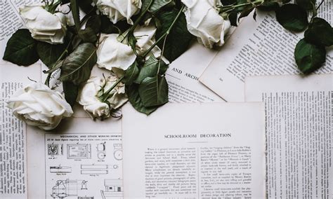 Sonnet 130 Shakespeares Sonnets