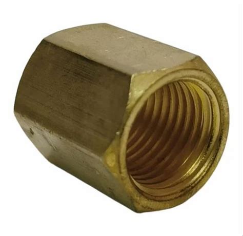 Golden Brass Hex Socket For Pipe Fitting Size Diameter Mm At Rs