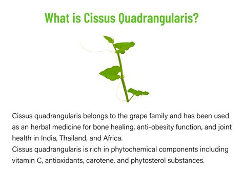 Caforia Nutridom Cissus Quadrangularis 150 M