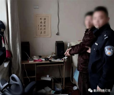 重庆市奉节县公安局成功侦破一起自建淫秽色情网站非法牟利案，涉案金额70余万元！！ 樊某