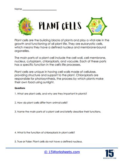 Plant Cells Worksheets Worksheets Library