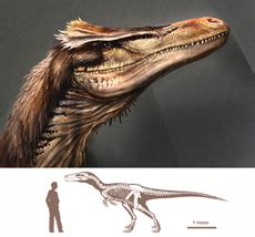 Австрораптор Austroraptor — Динопедия