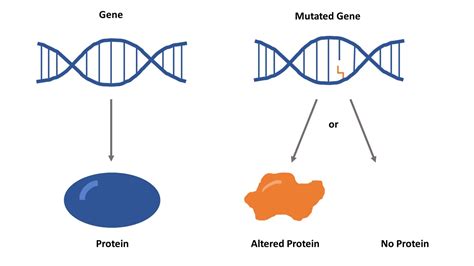 Genetic Testing For Inherited Retinal Diseases Fighting Blindness