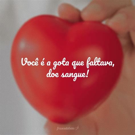 30 frases sobre doação de sangue para você abraçar este ato de amor