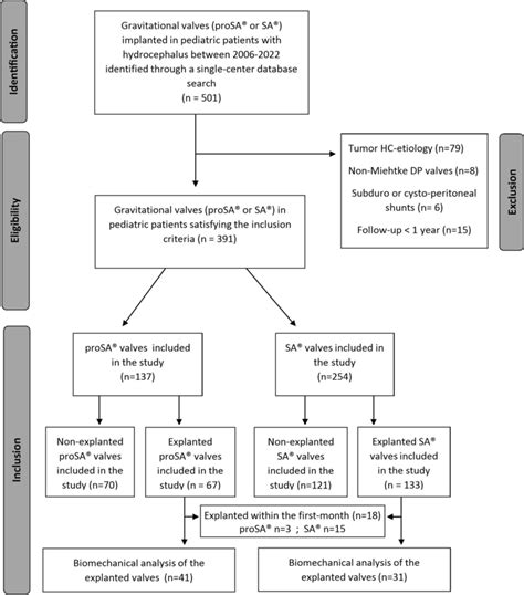 Flow Diagram Illustrating The Process Of Inclusion And Exclusion Of The