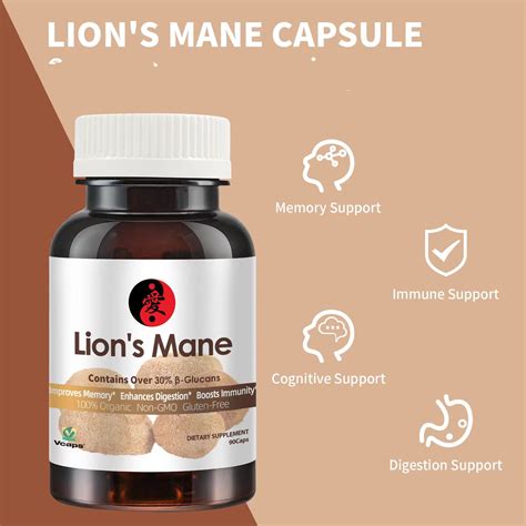 Organic Lion's Mane - RYZE Superfoods powder