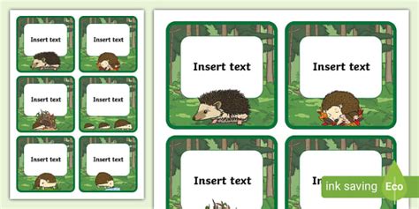 Editable Hedgehog Themed Peg Labels Teacher Made Twinkl