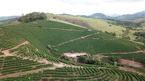 Curvas de Nível Exemplos e Benefícios para a Agricultura Sustentável