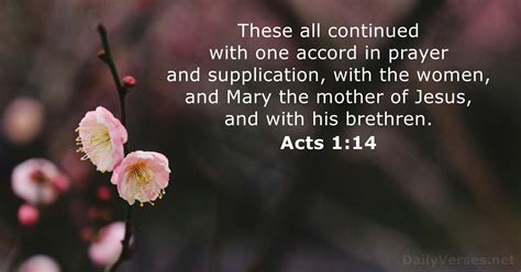 May 12 2024 Bible Verse Of The Day Kjv Acts 114