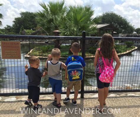 20 Ways To Keep Kids Busy During Spring Break Wine And Lavender