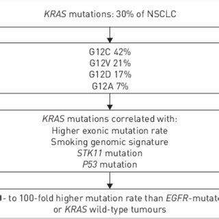 Main Genomic Features Of V Ki Ras Kirsten Rat Sarcoma Viral Oncogene