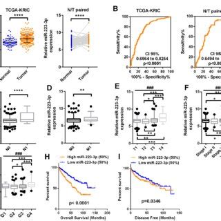 Slc A Expression Is Downregulated In Ccrcc And Predicts A Poor