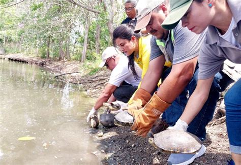 EPA CARTAGENA LIBERA 50 ANIMALES DURANTE CELEBRACIÓN DEL DÍA MUNDIAL DE