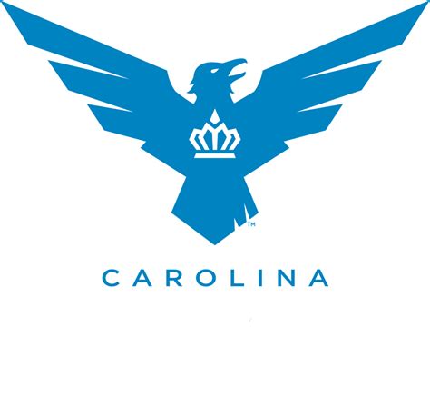 Carolina Royal Ravens - Liquipedia Call of Duty Wiki