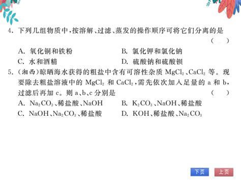 【人教版】化学九年级下册 第十一单元 实验活动8 粗盐中难溶性杂质的去除 习题课件21世纪教育网 二一教育