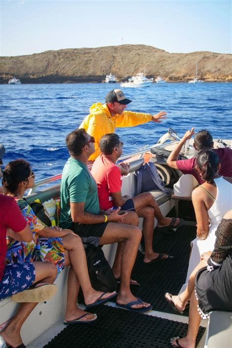 De Kihei Cratera Molokini E Mergulho Com Snorkel Em Turtle Town