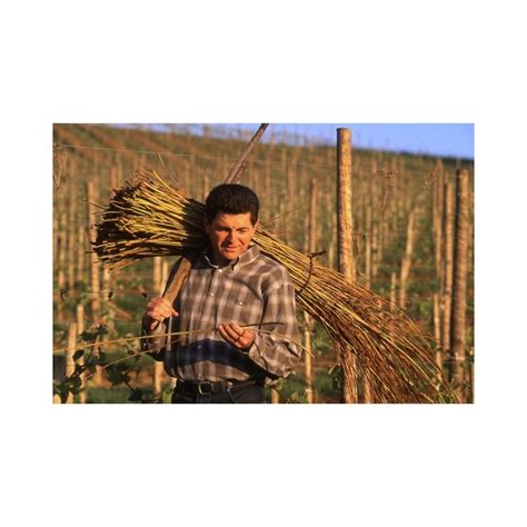 Chant Des Vignes Juran On Sec Domaine Cauhape Par Henri Ramonteu Cl