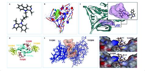 The in silico docking of B 9 3 and TGF β receptors A 3D Structure