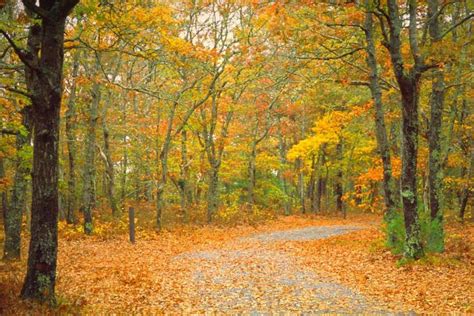 New England Fall