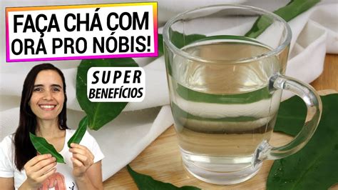 COMECE A TOMAR CHÁ DE ORA PRO NÓBIS SUPER ALIMENTO APRENDA A FAZER DO