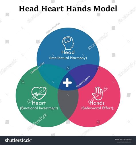 Head Heart Hands Model Icons Infographic Stock Vector (Royalty Free ...