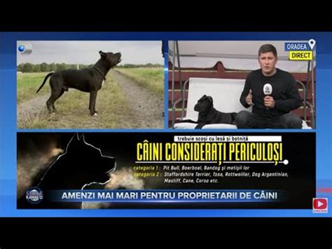 Stirile Kanal D Amenzi Mai Mari Pentru Proprietarii De