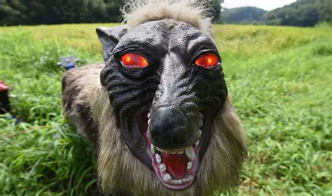 Science News Robot Wolf In Japan Is Ai Marvel Called Super Monster