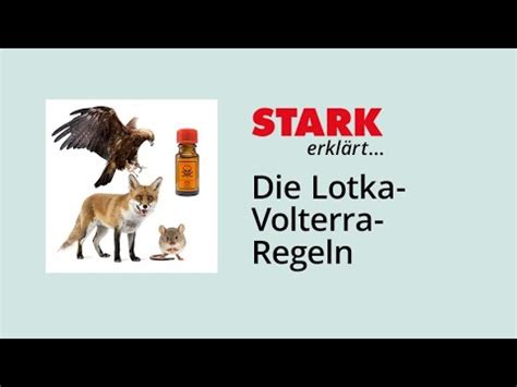 Populationsdynamik im Räuber Beute System Lotka Volterra Regeln