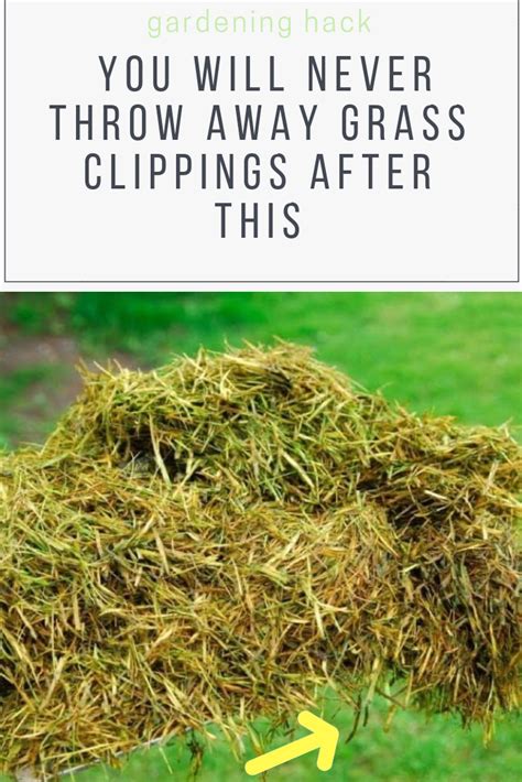 9 DIY Hacks To Do With Grass Clippings You Probably Never Thought Of