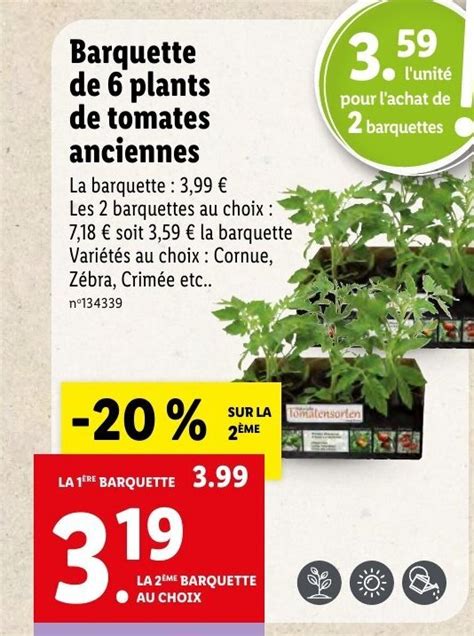 Promo Barquette De Plants De Tomates Anciennes Chez Lidl