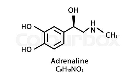 Adrenaline Molecular Structure Epinephrine Skeletal Chemical Formula