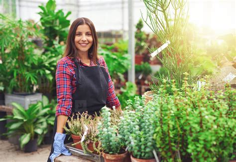 Smiling horticulturalist working in a greenhouse stock photo (140091) - YouWorkForThem