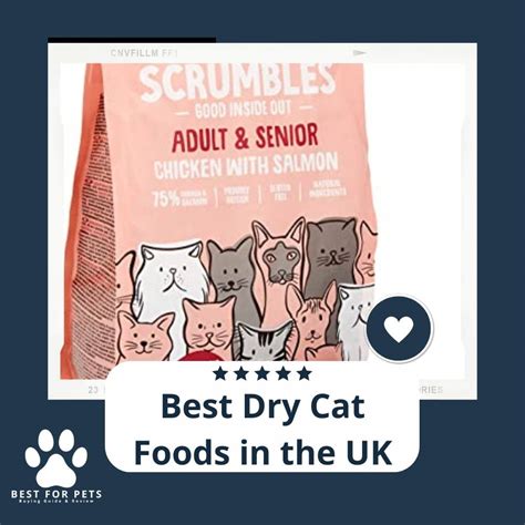 15 Best Dry Cat Foods In The Uk In 2023